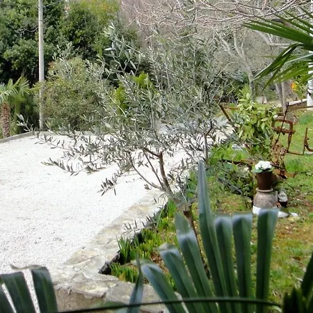 Lejlighed Apartman More