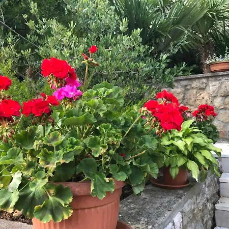 Apartman More Lejlighed