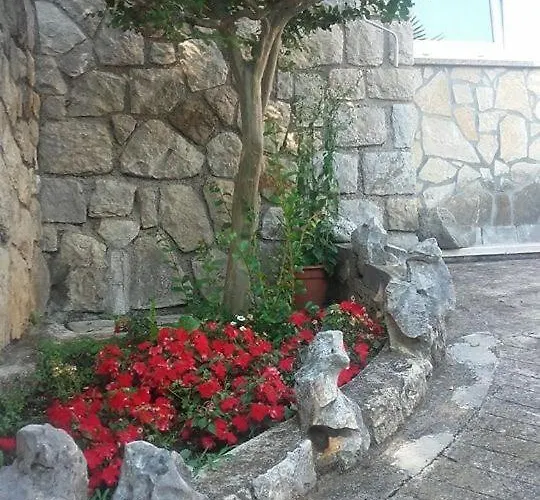 Apartman More