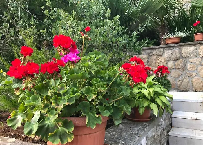 Apartman More Apartman