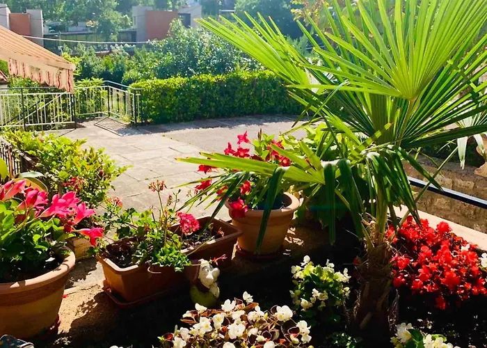 Apartman Apartman More *