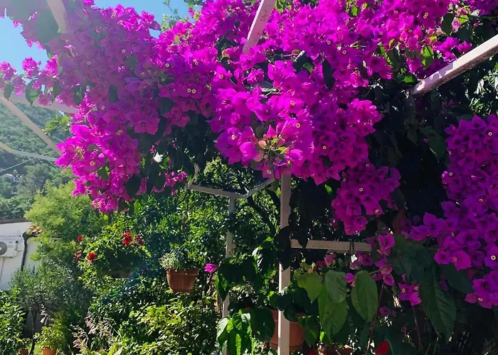 Apartman More Apartman